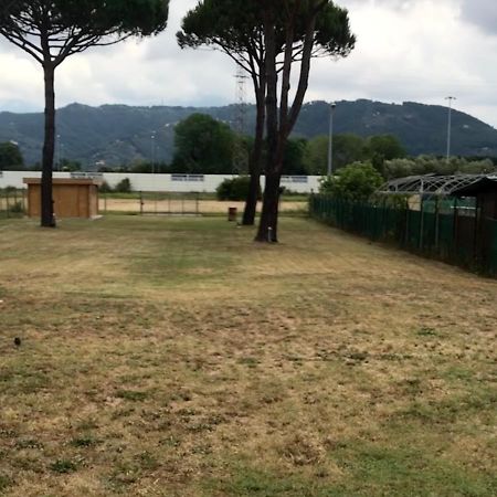 L'Alloggio Del Capitano Viareggio Exteriér fotografie